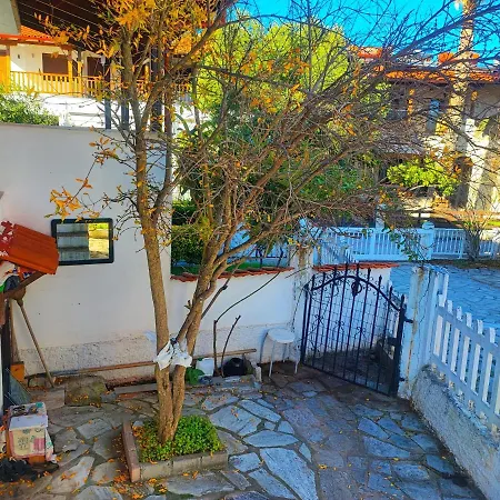 Traditional Lux Mezonete Villa *